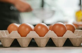 protein meal prep gadgets